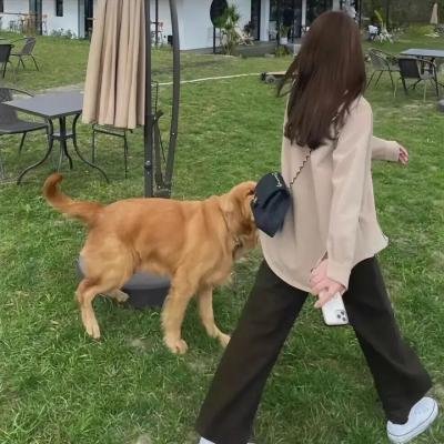 儿女传奇之真假千金